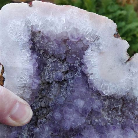 Rare Pink Amethyst Geode With Druzy Crystals Of Atlantis