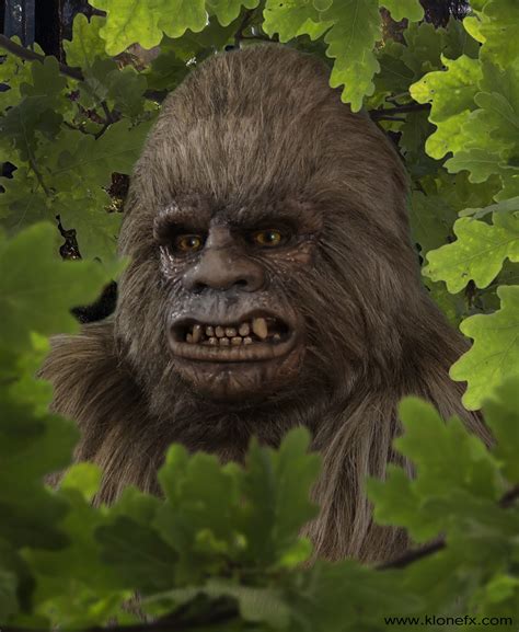 How Witnesses Describe Bigfoot Updated ~ The Crypto Crew