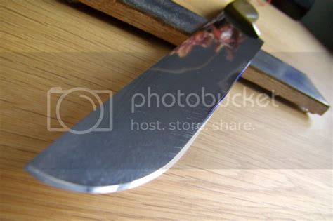 Curved Kitchen Knife