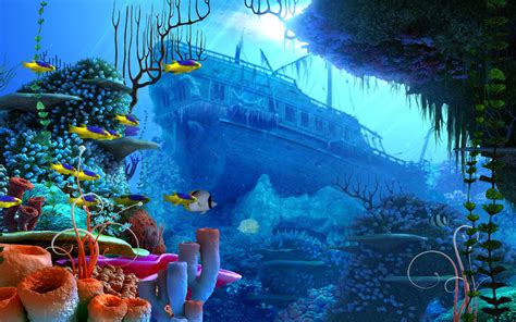 Beautiful Under Sea Wallpapers Top Free Beautiful Under Sea
