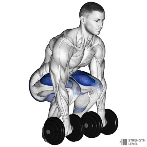 Dumbbell Deadlift Standards For Men And Women Lb Strength Level