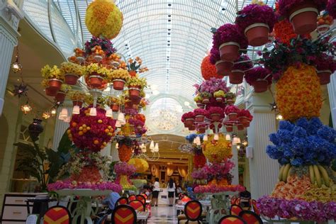 13 unique things to do on your next trip to las vegas wynn las vegas las vegas trip unique
