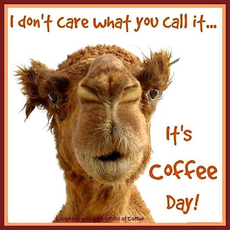 Happy Hump I Mean Coffee Day ☕ Wednesday Coffee Coffee Meme Coffee Meme Funny