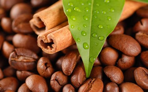 Wallpaper Leaves Food Drink Coffee Beans Cinnamon Caffeine