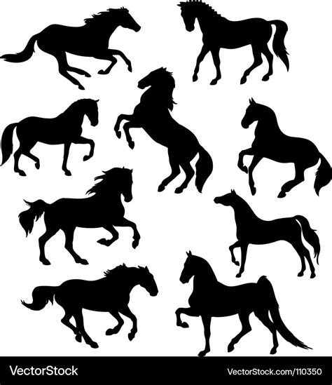 Horse Silhouettes Royalty Free Vector Image Vectorstock