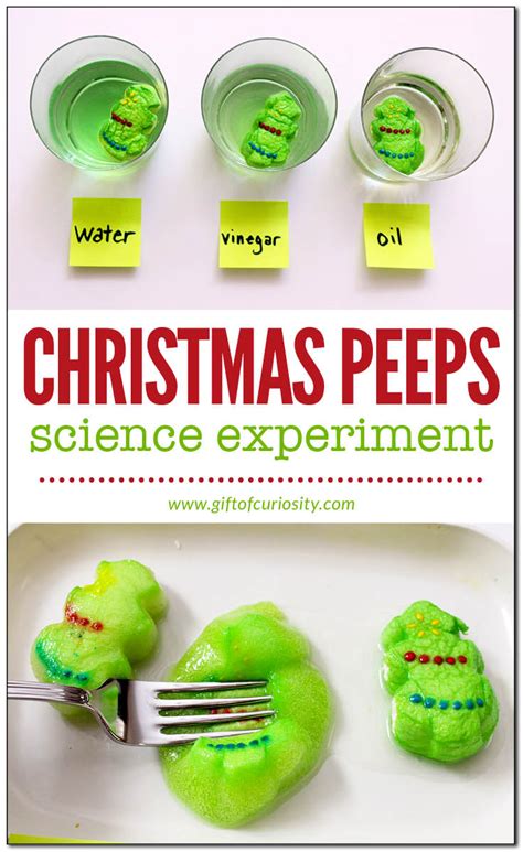 Christmas Steam Christmas Peeps Science Experiment T Of Curiosity