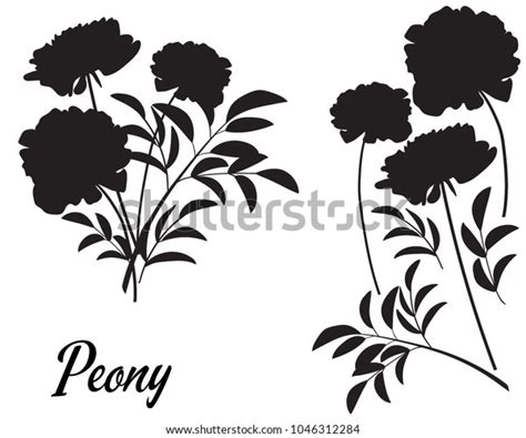 Peony Silhouette Vector Illustration Bouquet Peony Stock Vector