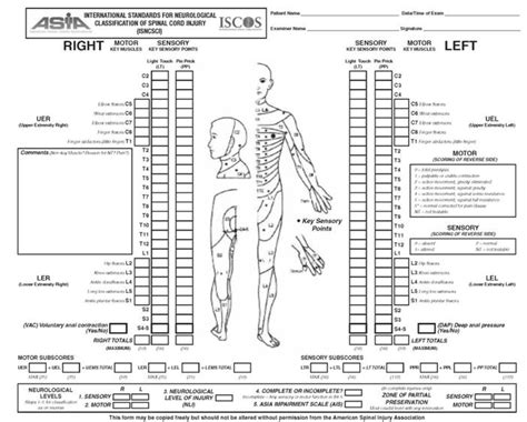Classification Of Spinal Cord Injury Level Of Injury—asia