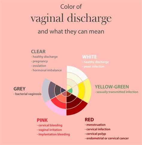 Period Discharge Vs Pregnancy Discharge Wjoy