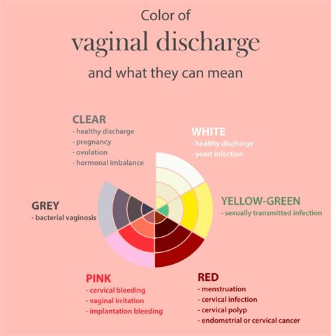 البصر الترباس عنب مبروك سيل مدني Yellow Secretion During Pregnancy