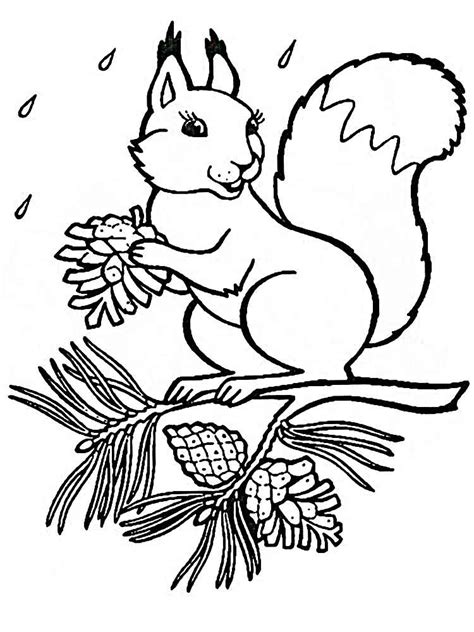 Adult coloring page nature flowers. Squirrel coloring pages. Download and print squirrel ...