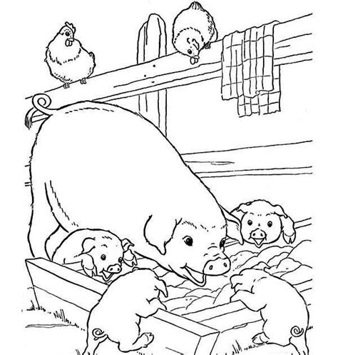 Mom And Baby Animal Coloring Pages Fasucsowy