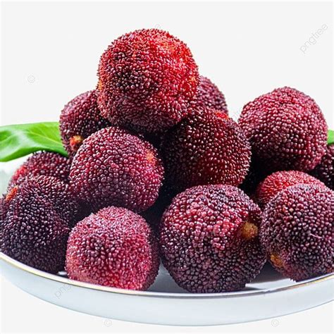 Bayberry Close Up Morning Bayberry Waxberry Fruit Fresh Fruit Png