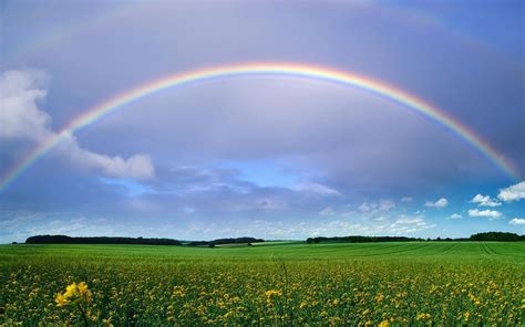 V News Rainbows The Sign Of Gods No Flood Covenant