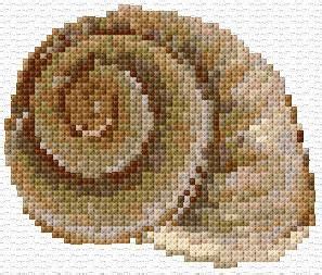 We did not find results for: Sea Shell 5|649 | Cross stitch sea, Cross stitch, Cross ...