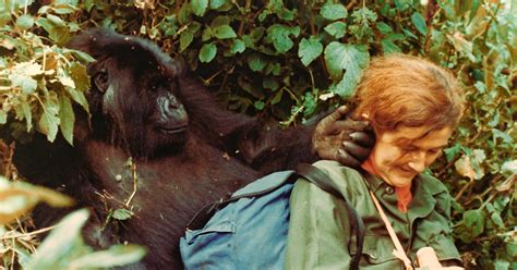 Dian synonyms, dian pronunciation, dian translation, english dictionary definition of dian. Life Of Dian Fossey - Gorillas