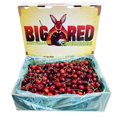Australian Big Red Glen Red Cherry — Momobud