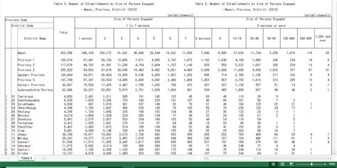 Excel National Economic Census Table 3 Resources
