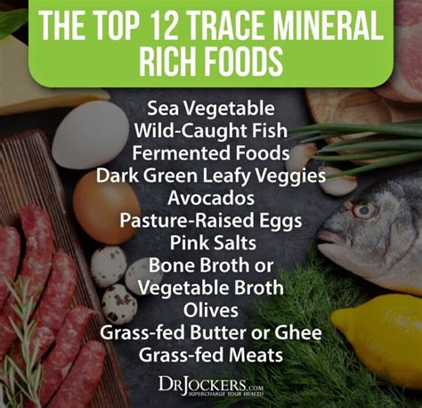 Top 12 Trace Mineral Rich Foods 2022