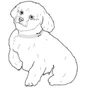Mini goldendoodle's are another variety of the goldendoodle family. Dogs coloring pages | Free Coloring Pages
