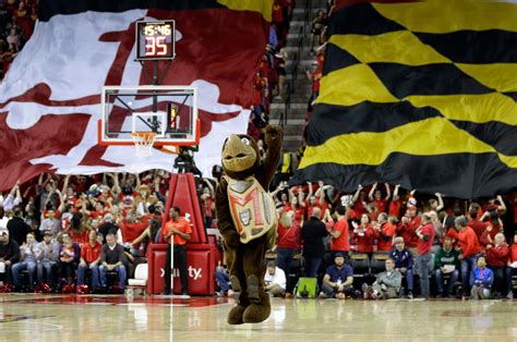 Ranking The Ncaa Tournament Team Mascots 68 1 Wtop News