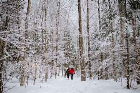 Mount Willard Winter Hike Outdoor Project