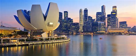 A domestic cat of a small breed with large eyes and ears, brown ticked coat and blunt tail. Singapura: Silicon Valley no sudeste asiático