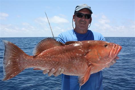 Check spelling or type a new query. Show Me The Fish Charters: September 2013