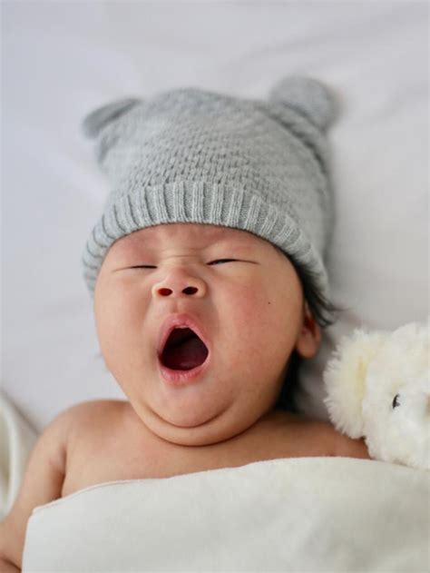Calista dalam bahasa indonesia, artinya gemar. Arti Nama Bayi Terinspirasi dari Ragam Bunga - Fimela.com ...