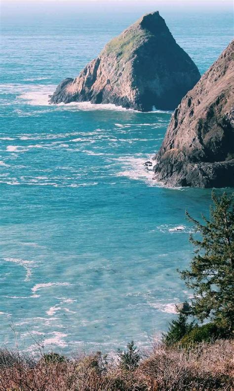 Jessica tomlinson is a native oregonian currently living in southern oregon. Northern California and Southern Oregon Coast Road Trip