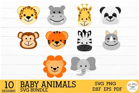 Cute Baby Animals Safari Theme In Svgdxfpngepspdf Format