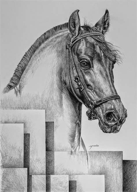 Imágenes Arte Pinturas 12 Dibujos Originales de Caballos Finos Para