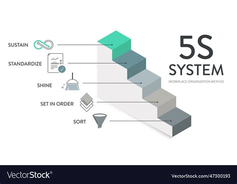 5s System Diagram Icon Infographic Banner Vector Image