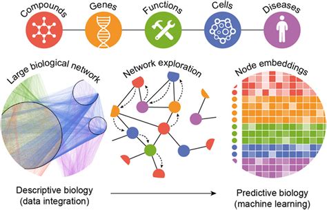 formatting biological big data for modern machine learning in drug discovery duran‐frigola