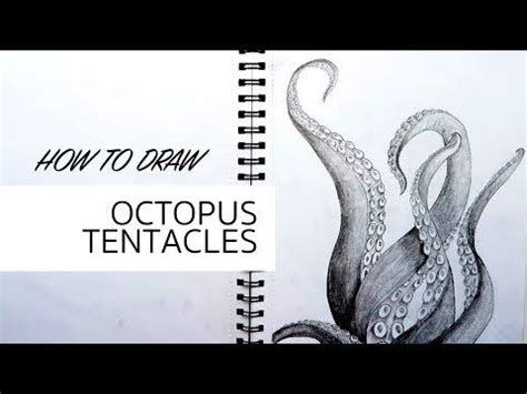 Tentacle realistic art easy drawings octopus tentacles drawing octopus tentacles drawings animal drawings sketches octopus drawing eye drawing. How to draw: OCTOPUS TENTACLES - YouTube | Octopus ...