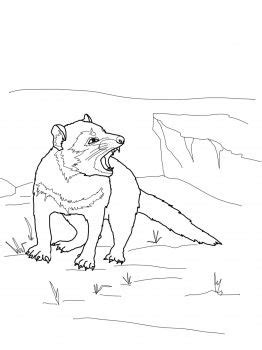 Search through 623,989 free printable colorings. Pin on Line Drawings for Literacy