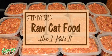 These act to keep the dry food glued together, but grains are not a natural part of a cat's diet. Raw Cat Food - How to make raw cat food - Savvy Pet Care