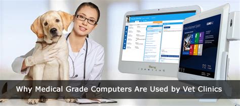 Why Medical Grade Computers Are Used By Vet Clinics