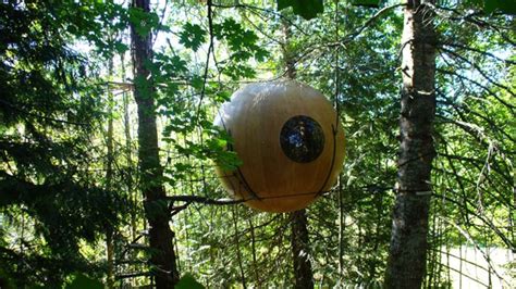 8 Coolest Treehouses Around The World Fox News