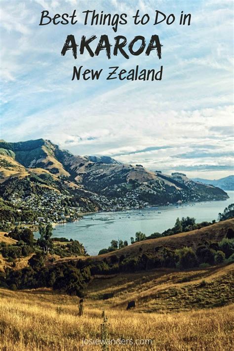 Akaroa New Zealand Dunedin New Zealand Gap Year Travel New Zealand