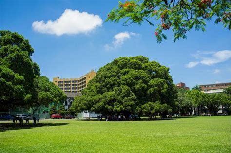 泰晤士高等教育世界大學排名 《泰晤士高等教育世界大學排名》（英文：times higher education world university rankings）為《泰晤士高等教育》雜誌之增刊所發表的年度世界大學排名。 台南景點全攻略（6）--國立成功大學 - 每日頭條