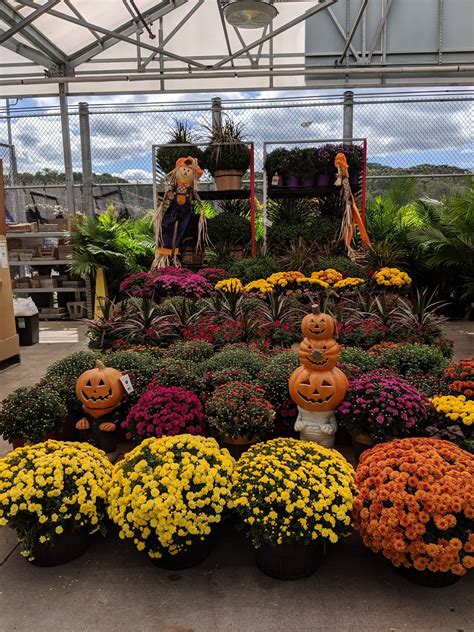 Lowe's Garden Center