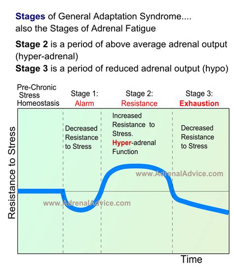 Adrenal Fatigue Vs Adrenal Exhaustion