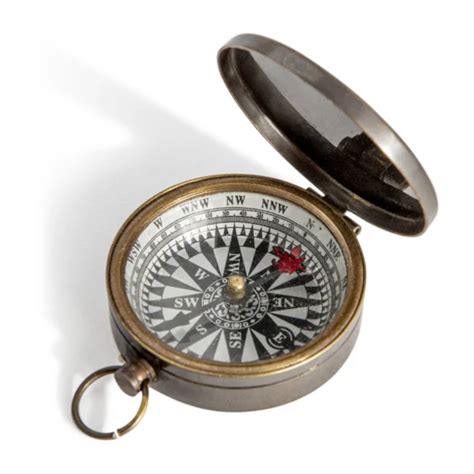 Small Bronzed Compass British Isles