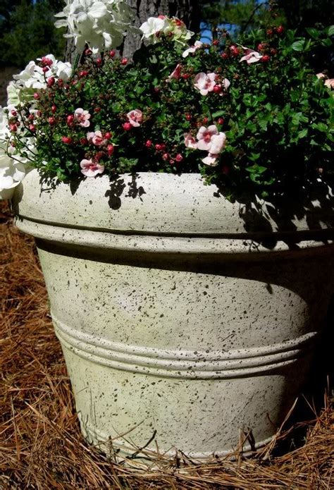 Love for garden will show you how to spray paint your plant pots. Pin by sheysheyspins on Greenthumb. | Plastic flower pots ...