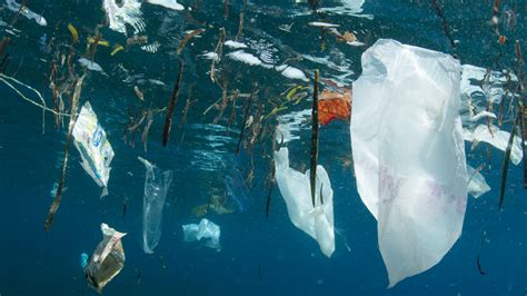 Plástico En El Océano Esci Upf News