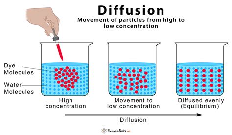 The Annotated Diffusion Model