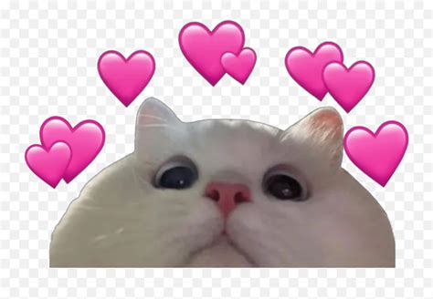 ベスト Crying Cat Meme Heart Emojis 108600