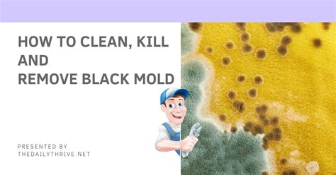 How To Clean Kill And Remove Black Mold Daily Thrive