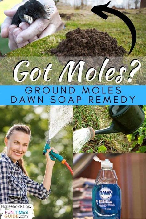 A Collage Of Photos With Text That Reads Got Molles Ground Moles Dawn